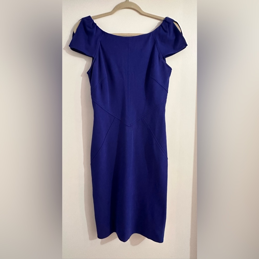 Diane Von Furstenburg Helen Bodycon Dress Size 6